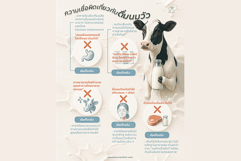 เปิดเผย ความเชื่อผิดๆ เกี่ยวกับการดื่ม นมวัว
